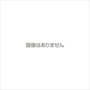 サムネイル： CRBONVANI:DUCATI:PANIGALE V4R 2020~：シートパッド :