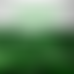 Tendências em produção de PVC e Perfis: Supermercados do futuro