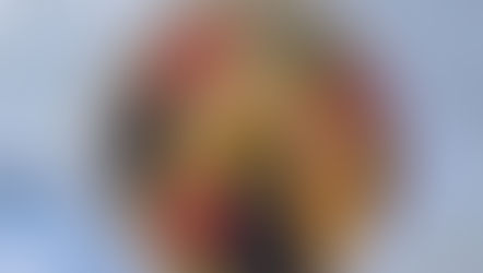 「シチリア風オレンジと小エビのリゾット」前菜の一品としてご用意しています。