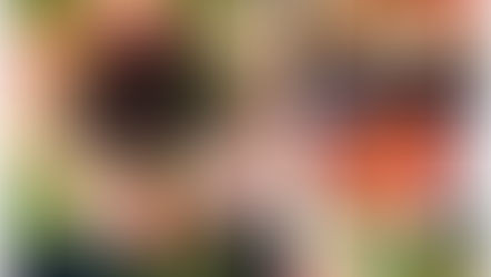 ~クリスマスディナーのご案内~