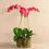 Thumbnail: Artificial Orchids in Glass Vase - Large Faux Orchid Centerpiece