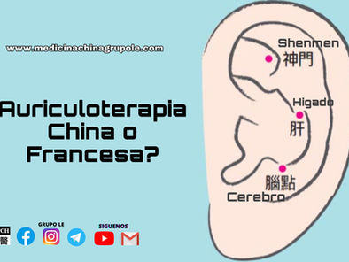 Auriculoterapia China o Francesa
