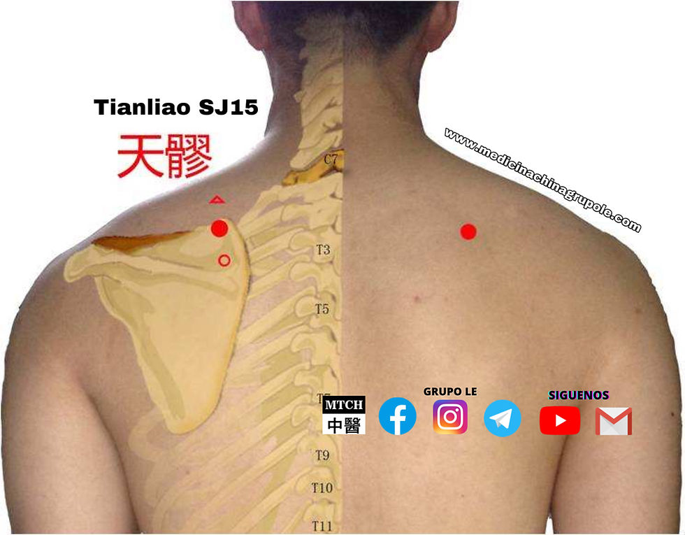 Tianliao 天髎穴 SanJiao 15