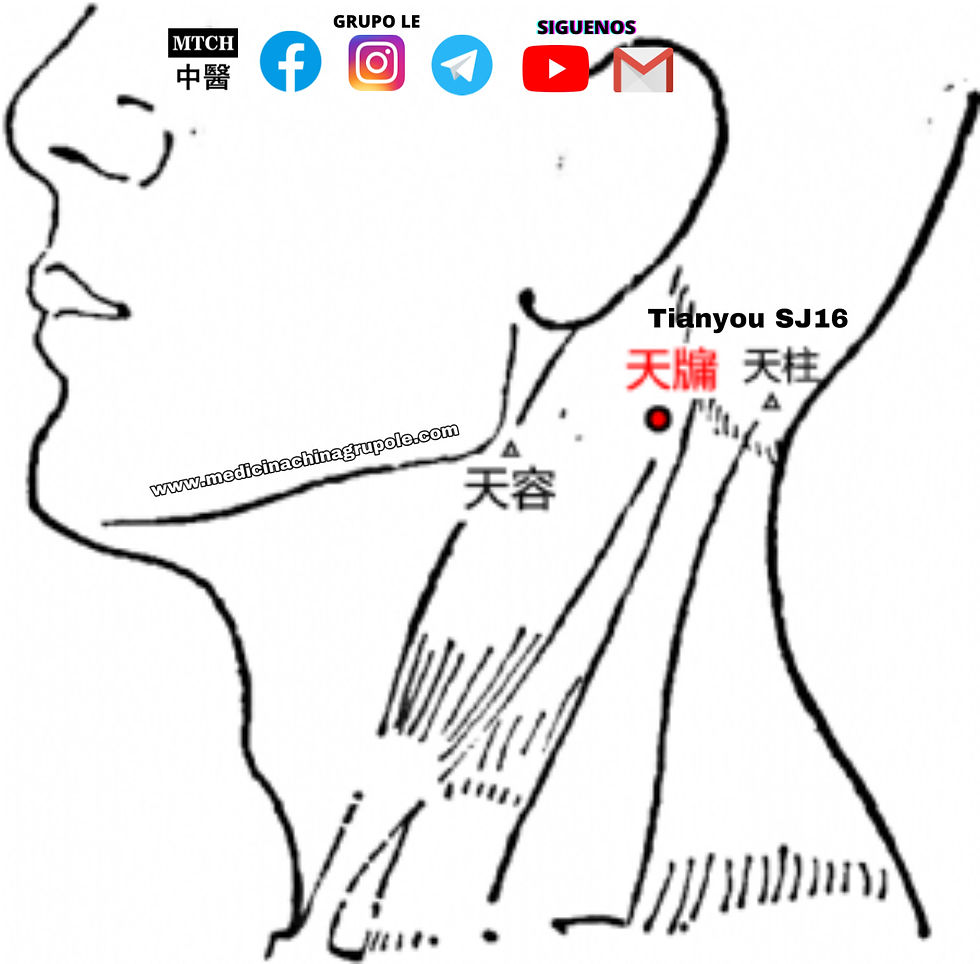 Tianyou 天牖 SanJiao 16