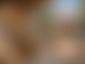 Professional Entire Cottage Renovation Services You Can Rely On