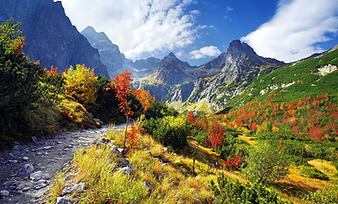 Cabin Under The Mountains, Slovakia holidays