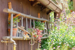 Brautpaar Shooting in der Natur im Schwarzwald, moderne und vintage Hochzeitsfotos, standesamtliche und kirchliche Trauung in Baden-Württemberg, Outdoor-Wedding-Destination sasbachwalden kaffee kuchen moodbilder