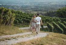 modernes, zeitloses, Save the Date Shooting eines Paares im sommerlichen Schwarzwald in Sasbachwalden, umgeben von blühender Natur, weinbergen und idyllischer Landschaft