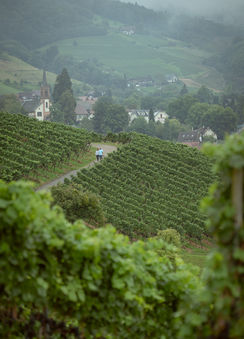 sogenannter wide shot - umgebungsportait von sasbachwalden und dem paar