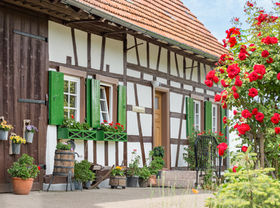 Brautpaar Shooting in der Natur im Schwarzwald, moderne und vintage Hochzeitsfotos, standesamtliche und kirchliche Trauung in Baden-Württemberg, Outdoor-Wedding-Destination sasbachwalden