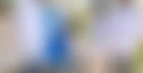 TAP team stands in front of a water filter.