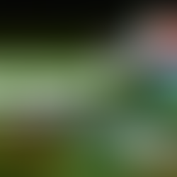 ECO4 is Ending in 2026 - What Does That Mean for the Retrofit Sector?