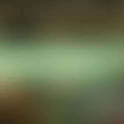 What Should Housing Providers Be Checking After Winter?