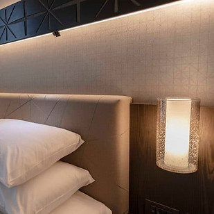 hyatt sofia wall 2