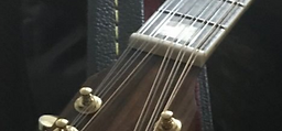 12 String.PNG