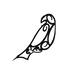 Writer: Te Korimako 