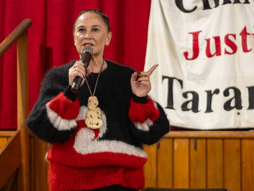 Te Tai Hauāuru candidates blast local government reforms