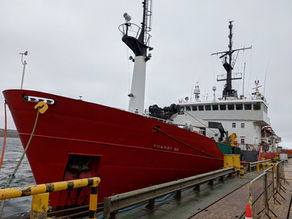 Dispatch 4 – The last leg of the voyage: Falkland Islands to South Georgia