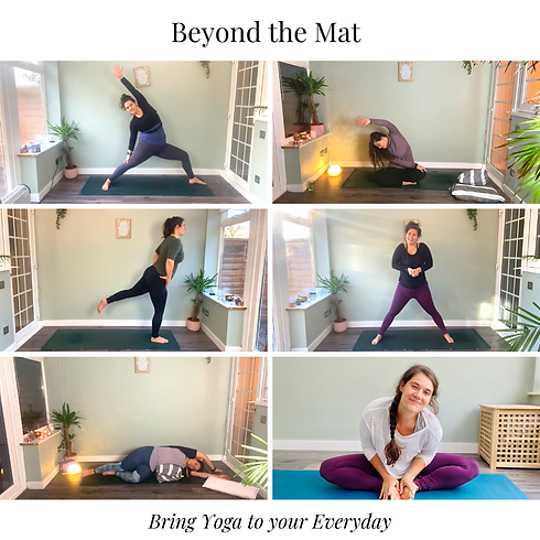 Beyond The Mat.png