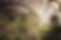 Eden Project.jpeg