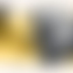 Protesters’ Rights