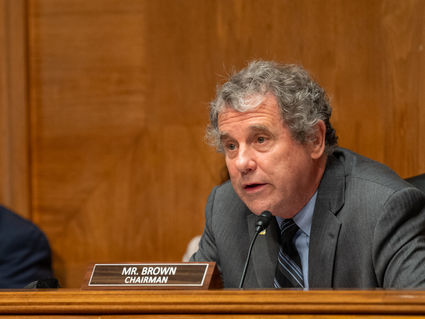Brown Fights to Lower Cost of Insulin