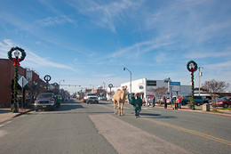 2015 Pageland Christmas Parade