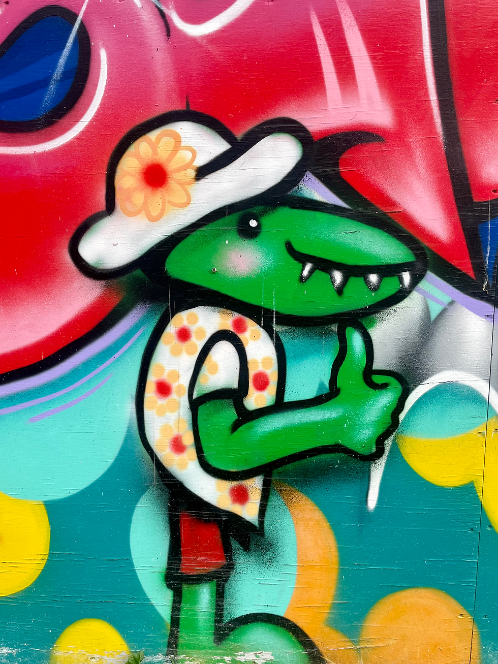 Street art, Unknown Artist, Christchurch, New Zealand, 2026