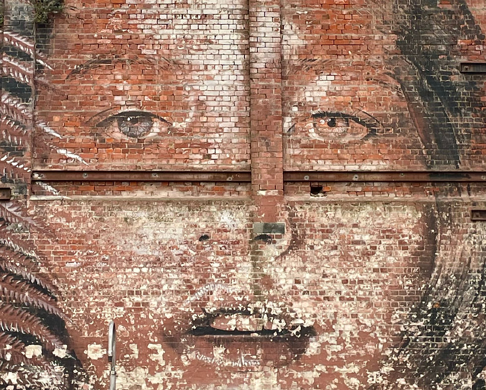 Street Art, Unknown Artist, Christchurch, New Zealand, 2026