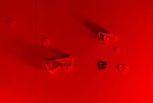 DF_Photo credit © Anne Tetzlaff-_DSC0801.jpg