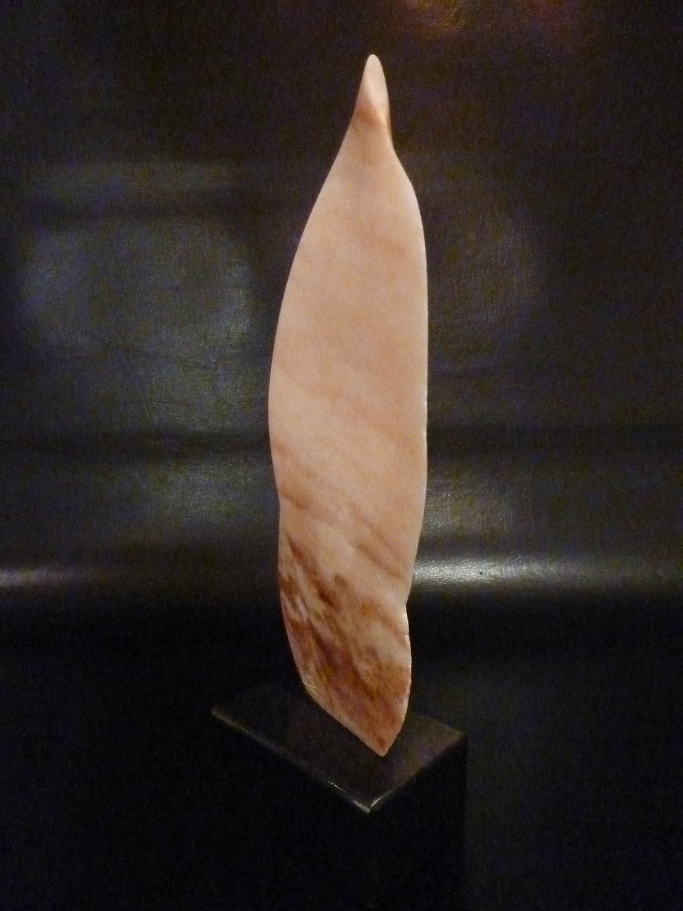 Thumbnail: Feather