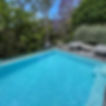 Sparkling clean pool in forest setting after pool servicing Sydney