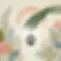 handpaw.webp