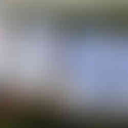 Te Arawa Catfish Killas education worksheets and data recording sheets used by students to support freshwater ecology and invasive species learning.