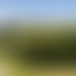 Future Secured: AgHort to Remain a Ministry-Led Senior Science Subject in NZ Curriculum