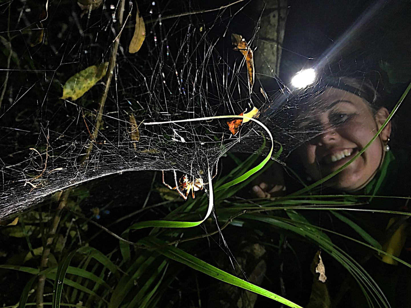 Student participating in a night education experience at Sanctuary Mountain Maungatautari, observing nocturnal forest species during a guided conservation learning walk.