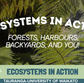 Ecosystems in Action connects mātauranga Māori, local science, and everyday kaitiakitanga in ways that inspire real-world sustainability.