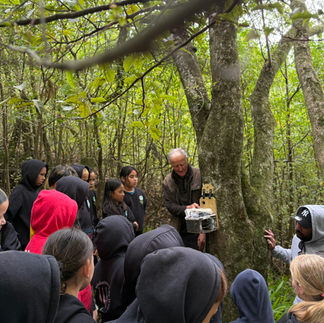Students gathered in native ngahere learning about pest control and biodiversity monitoring with Manawahe Eco Trust educators.