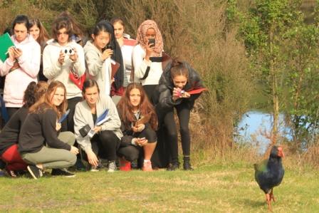 School group observing wildlife during an outdoor education programme at Sanctuary Mountain Maungatautari, learning about biodiversity and conservation in a predator-free environment.