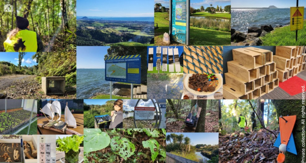 Science Learning Hub: Taking a knowledge systems approach in the ...