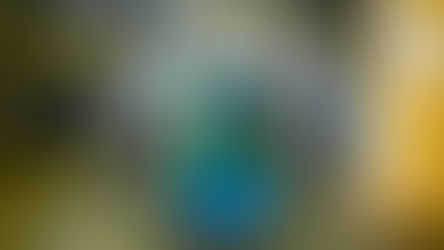 CB1.2 Expected Student Responses NOW LIVE