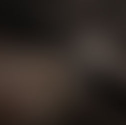 North Island brown kiwi in forest habitat representing kiwi conservation in the Bay of Plenty