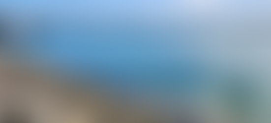 Tauranga Sea Pods embedded within the urban seawall, demonstrating how coastal design can support biodiversity and climate adaptation