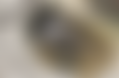 Interior view of a Tauranga Sea Pod showing pooled seawater, algae growth, and habitat features supporting intertidal marine life.