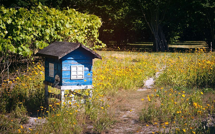 Ecole-collège La Ruche Bleue