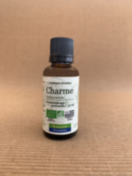 CHARME - Carpinus betulus