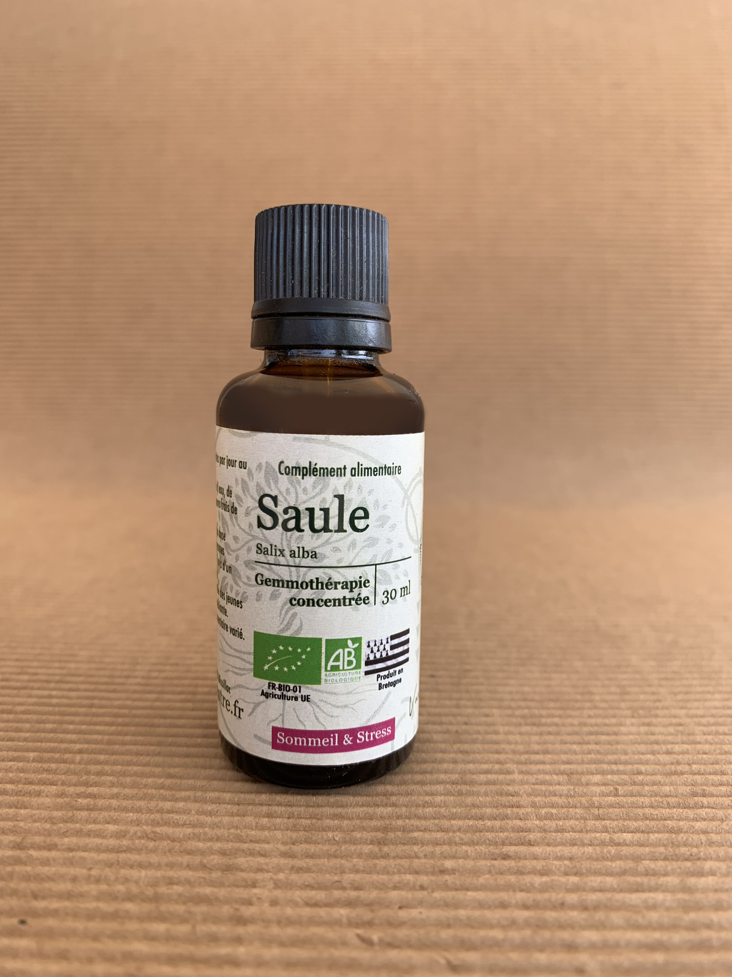 SAULE BLANC - Salix alba