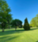DLT LANDSCAPING - Tree Services in Burlington, Iowa