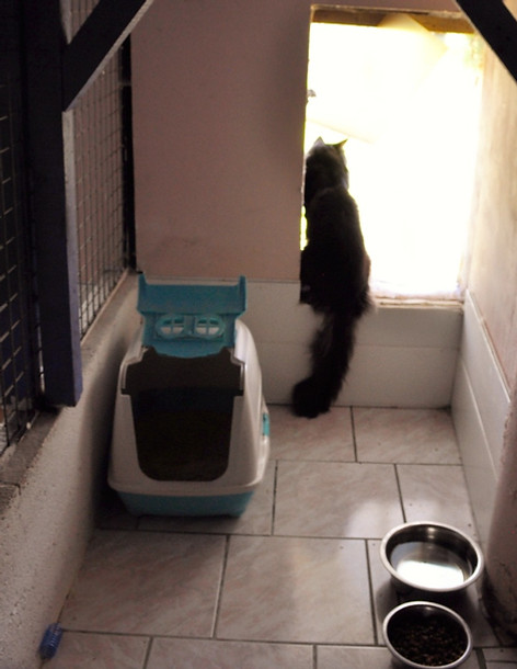 box chat 6_edited.jpg