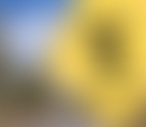 'faut pas tomber dans le panneau !